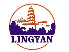 Suzhou Lingyan Medical Technology Co.,LTD Company Logo