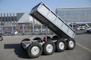 Wholesale electric cargo vehicle: High Quality Remote Control Mini Garden Farm Electric Utv Utility Vehicle with Cargo Box