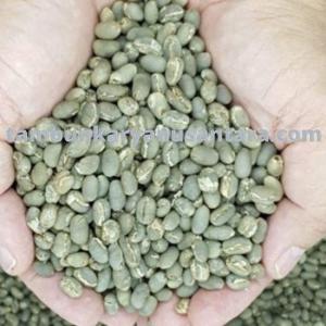 Wholesale indonesia: Best Green Bean Coffee From Indonesia (Arabica Mandheling)