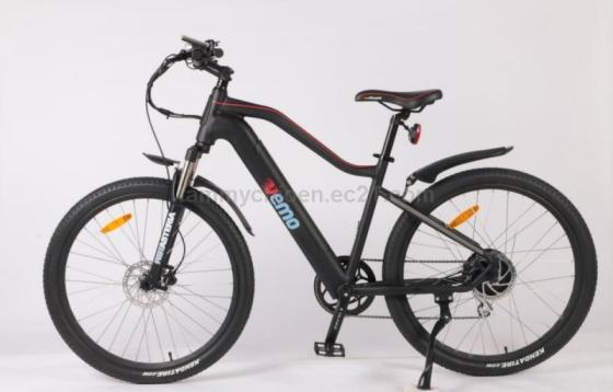 electric bike cheap