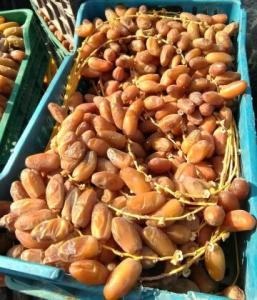 Wholesale dates: Dried Organic Medjool Dates, Jumbo Medjool Dates