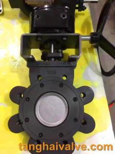 Wholesale wafer center butterfly valve: Double Eccentric High Performance Butterfly Valve (TH-BTV-DE)