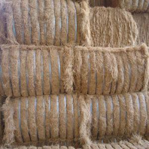 Wholesale coconut fibre: 25 Coconut Fiber, Coco Fiber