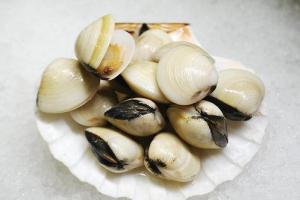 Wholesale Shellfish: Frozen Clam