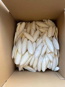 Wholesale export: Vietnam Dried Cuttlefish Bone/ Sepia Bone /Cuttle Bone Exporters with Best Price