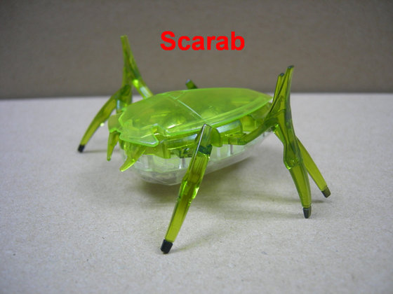 Sell Hex Bug,HEX Scarab,Nano Bug ,HEX Ant,HEX Larva(id:6796402) Product ...