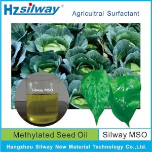 Wholesale oil seeds: Methylated Seed Oil - Silway MSO