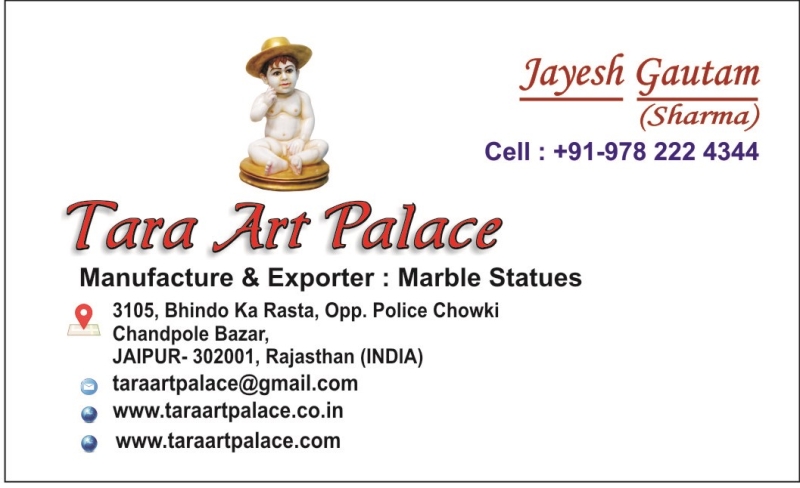 Tara Art Palace  Company Logo