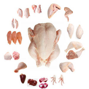 Wholesale fillet: Halal Chicken Feet / Frozen Chicken Paws/ Fresh Chicken Wings and Foot