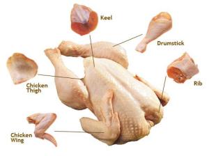 Wholesale drum: Certified Halal Frozen Chicken