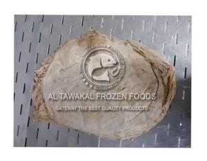 Wholesale manage stocks: Frozen Chicken Feet