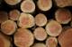 Sell Timber logs ,Tali, Okan, Dabema, Bilinga, Frake, Azobe, Padouk And More