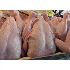 Wholesale slaughter: Halal Frozen Chicken