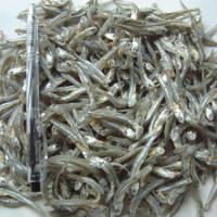 High Nutritive Dry Anchovy Fish/Dried Anchovy 