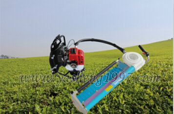 Hot Sale Single Gasoline Tea Harvester Chinese Manufacturer 