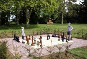 Wholesale furniture: 16 Inch Chess Set
