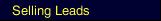 Selling Leads