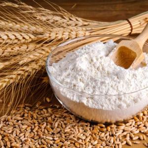 Wholesale light yellow powder: Wheat Flour 25kg Gluten Free