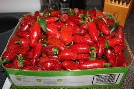 Wholesale transportation: Red Chiles Chipotle Chile Powder-Smoked Jalapeno Chili Peppers