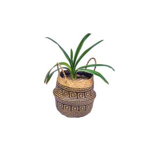 Wholesale big pots: Wholesale Handmade Rattan Plant Basket Flower Pot Eco Friendly Sea Grass Big Baskets with Handle