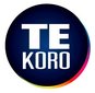 Tekoro Car Care Industry Co.,Ltd Company Logo
