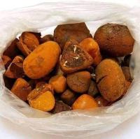 Sell  Bezoars, Niuhuang,Cow/Ox/Cattle Gallstones WhatsApp:...