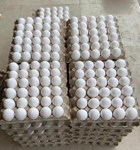Wholesale food packing: Eggs
