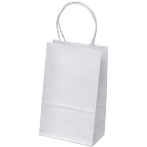Wholesale wholesale garment accessories: Gift Shopping Bags