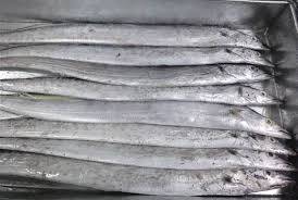 Wholesale Dried Food: Fresh Frozen Ribbon Fish