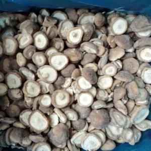 Wholesale shiitake: IQF Frozen Whole Shiitake Mushrooms
