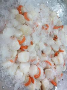 Wholesale Shellfish: Frozen Scallop Highquality and Best Price in Viet Nam