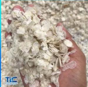 Wholesale generator: Dried Fish Scales