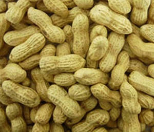 Wholesale bag: Peanut