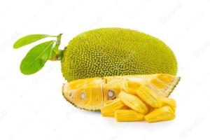Wholesale resin: Fresh Mat Jackfruit From Vietnam- Competitive Price with High Quality (HuuNghi Fruit)