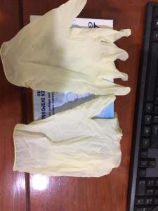 Wholesale latex gloves: Powder Free Latex Gloves