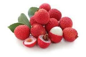 Wholesale hot selling: Hot Sell Fresh Lychee From Vietnam