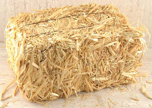Wholesale basket: Straw Bale