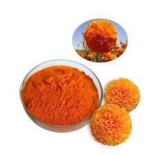 Wholesale Plant Extract: Wholesale Natural Powder Marigold Flower Extract Lutein