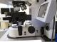 Sell Zeiss LSM510 Meta NLO Ready Laser Scanning Confocal Microscope System