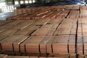 Wholesale bismuth: Copper Cathode