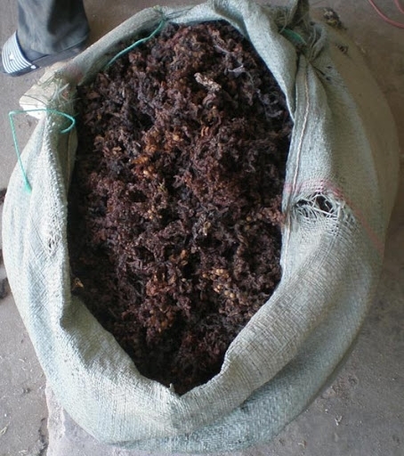 High Quality Dried Sargassum Seaweed for Animal Feed From VietNam/Ms