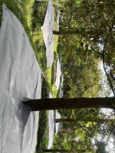 Wholesale m: Eco-friendly 100% Polyester Agriculture Weed Control Nonwoven Fabric Barrier Landscape Ground Cover