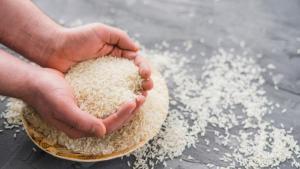 Wholesale basmati: Best Selling 100% Natural Organic Long Grain Basmati Rice