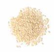 Wholesale oil seed: Seseme Seeds