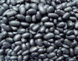 Wholesale green bags: Black Kidney Beans