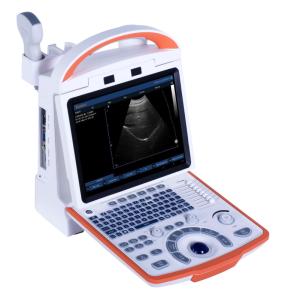 Wholesale auto diagnostic tools: Portable Black & White Ultrasound Scanner for Human Use