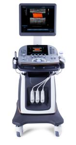 Wholesale cattle panel: Trolley Type  Digital Color Doppler Ultrasound Scanner with 4D Function and Touch Screen for VET