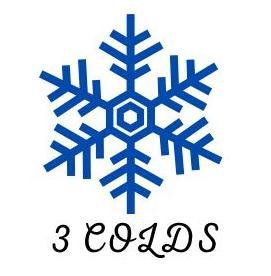 3 Colds  Shandong  Refrigeration Engineering Co., Ltd.