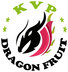 Kvp Vina Co., Ltd Company Logo