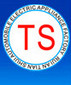 Rui'an City Tangxia Tianshui Automobile Electrical Appliance Factory Company Logo